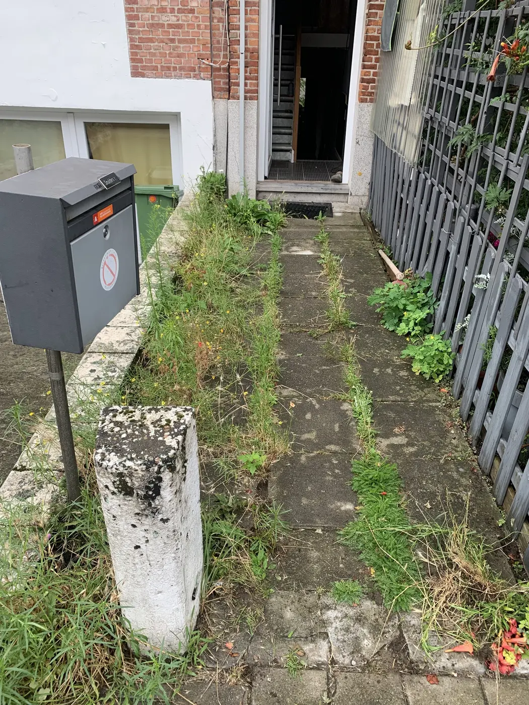 Tuinpad vóór het verwijderen van onkruid