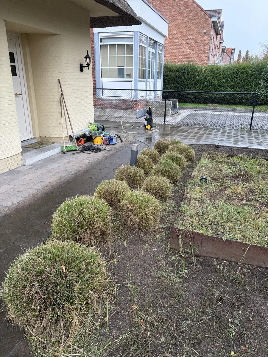 Siergrassen en plantvak na het onderhoud