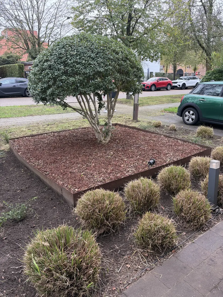 Plantvak met nieuwe houtschilfers
